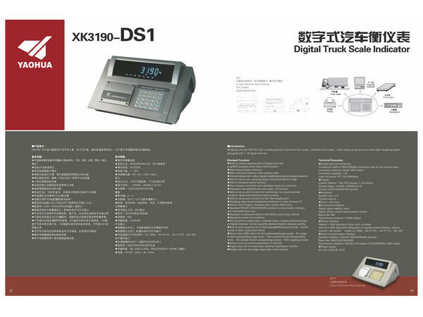 DS1