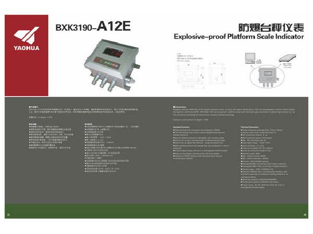 A12（防爆）