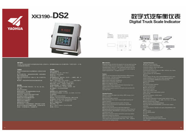 DS2